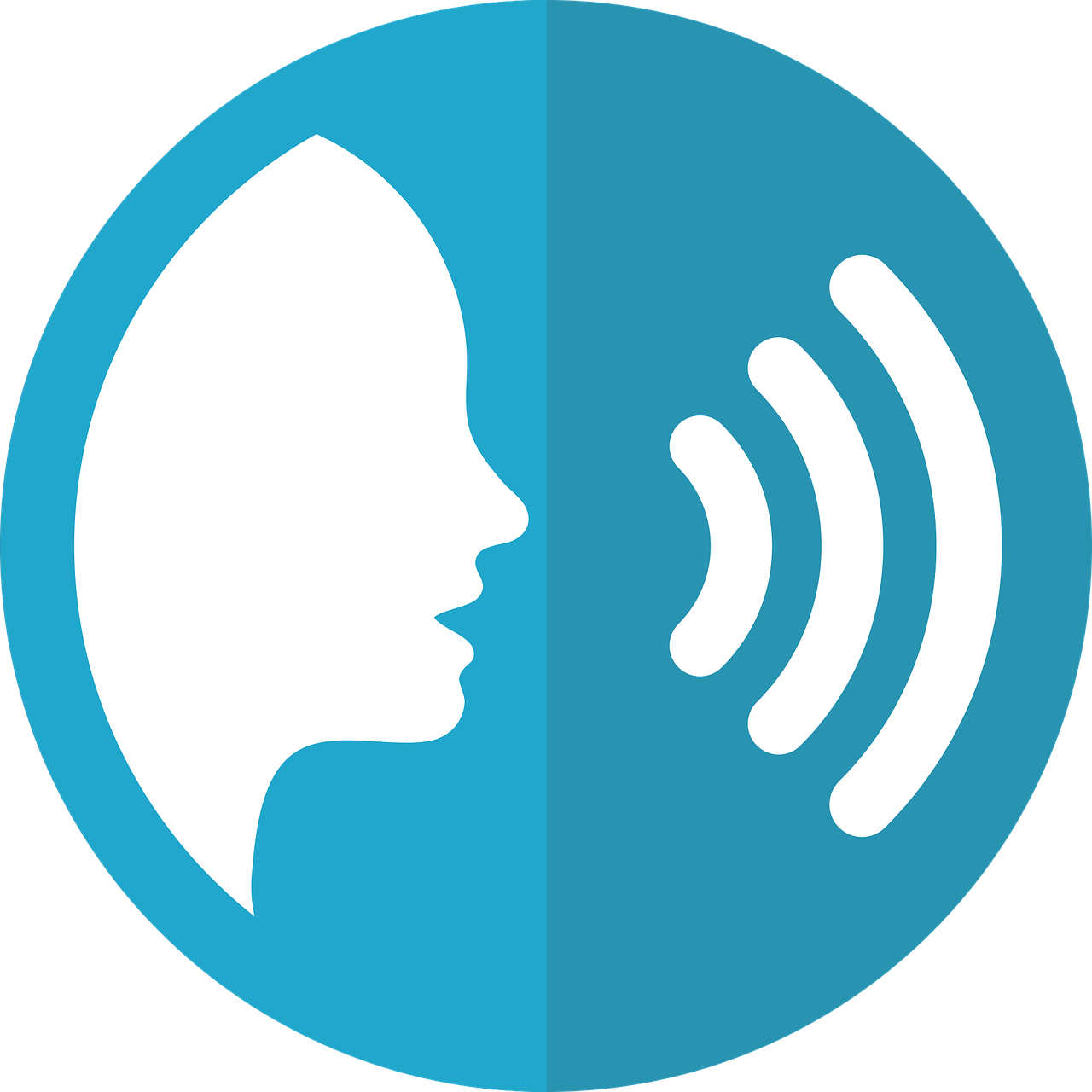 voicetech_mcmurryjulie_Pixabay